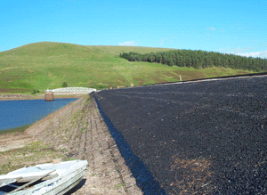 Baddinsgill Reservoir