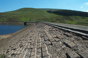 Baddinsgill Reservoir