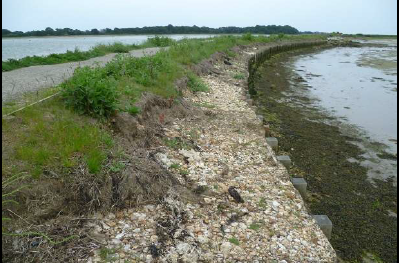 Elastocoast revetment